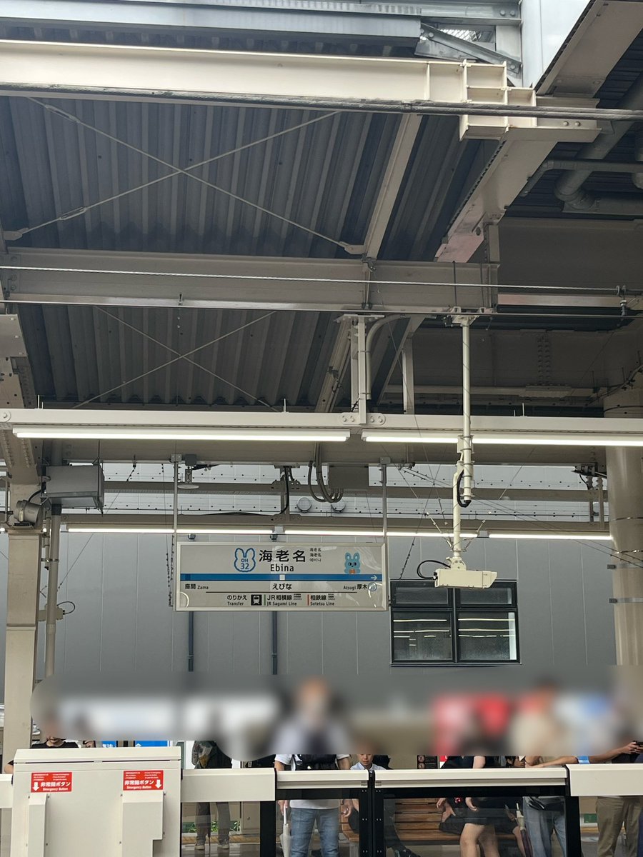 小田急の海老名駅の駅名表示看板に、もころんが登場していました。上り