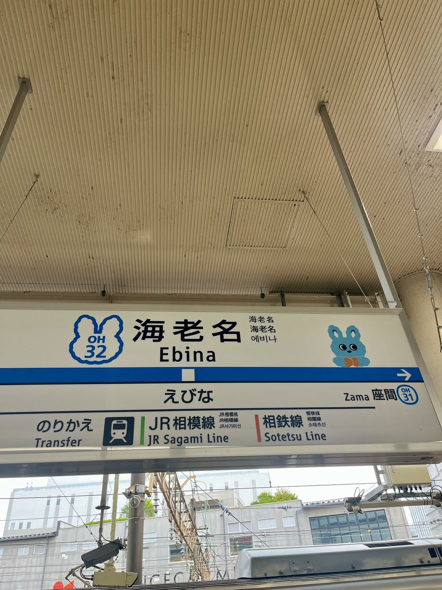 小田急の海老名駅の駅名表示看板に、もころんが登場していました。上り