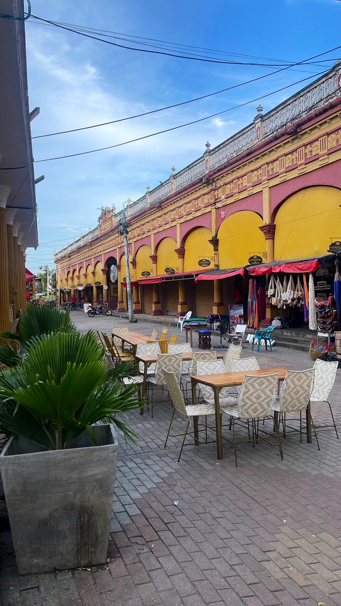 Isa Negrete tweet media