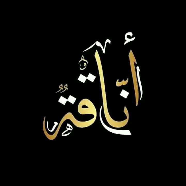 الرقي يڪون في ڪل شيء في المشاعر... الأخلاق ... التعامل ... الأسلوب ... الحديث...
هو شعور تتنفسه وليس سلوڪاً تتصنعه...
هو سلوڪ يراه الآخرين في تصرفاتڪ 
وأفعالڪ وليست صفة تصف بها نفسڪ