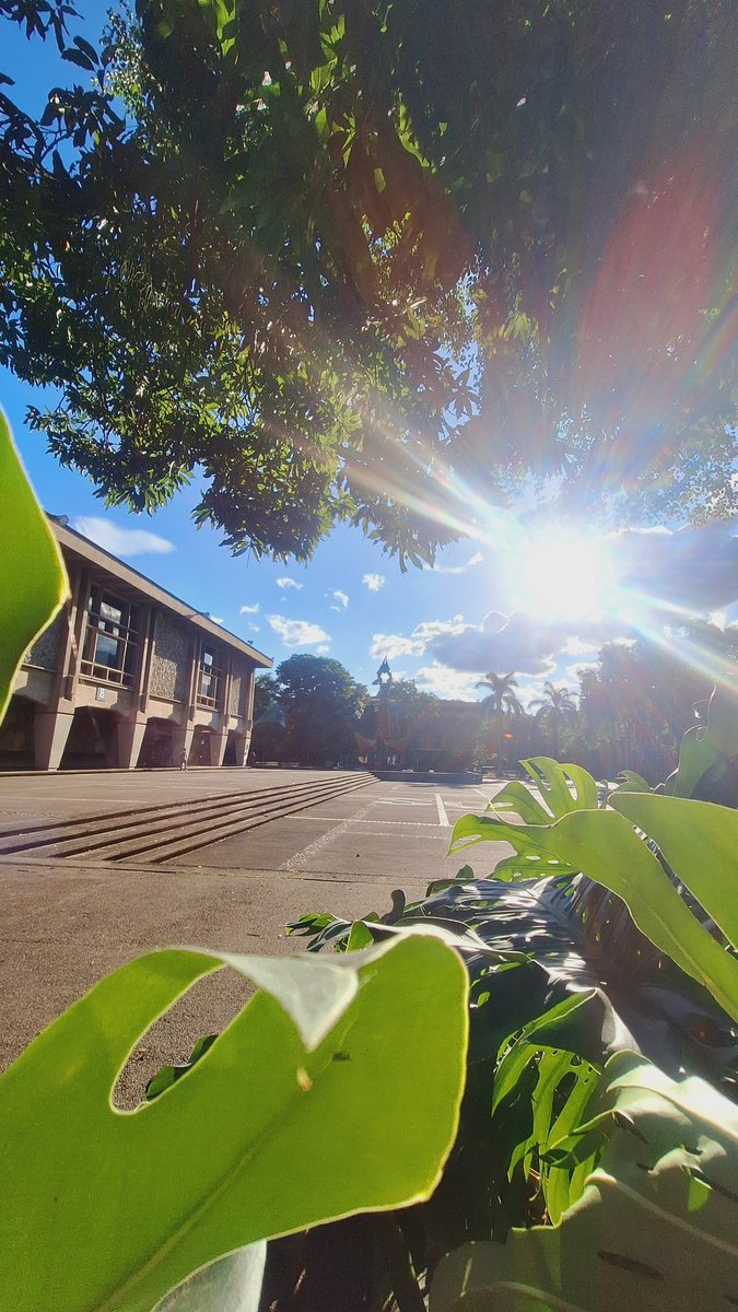 #TexturasUdeA Hay amores de amores... La #UdeA es uno de esos que quedan para siempre.