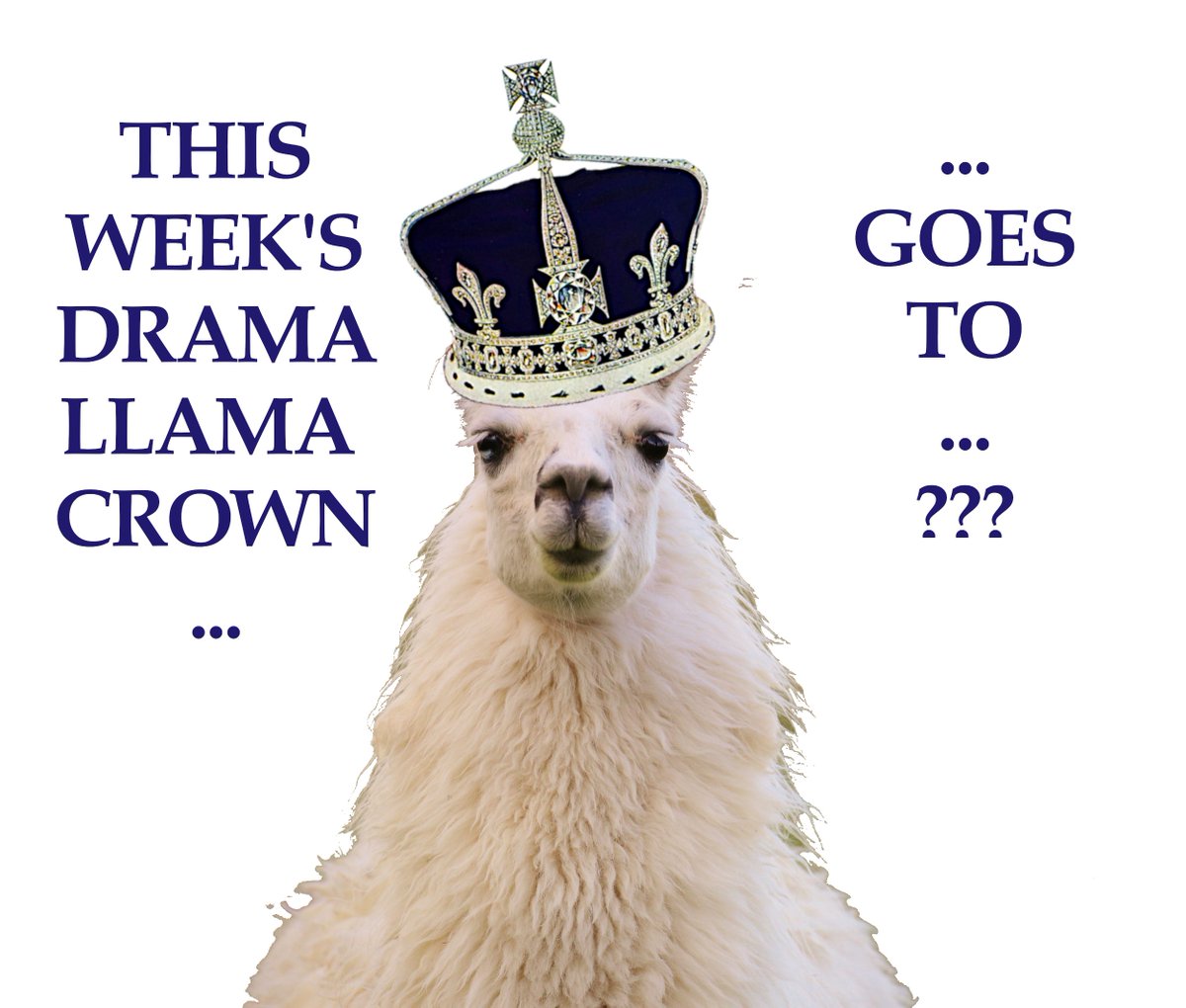 Ingrid Captain 'Rusty' | 🇩🇪 🇪🇺 🐿️🎖️ tweet media