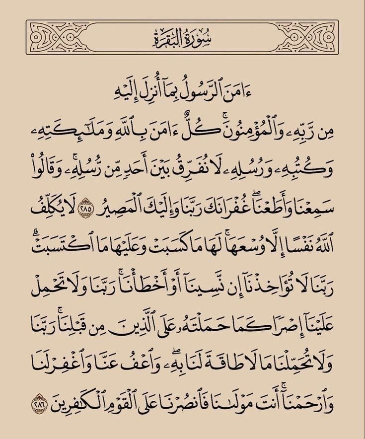 Fatmah_YA's tweet photo. https://t.co/kk3fxS6PhU