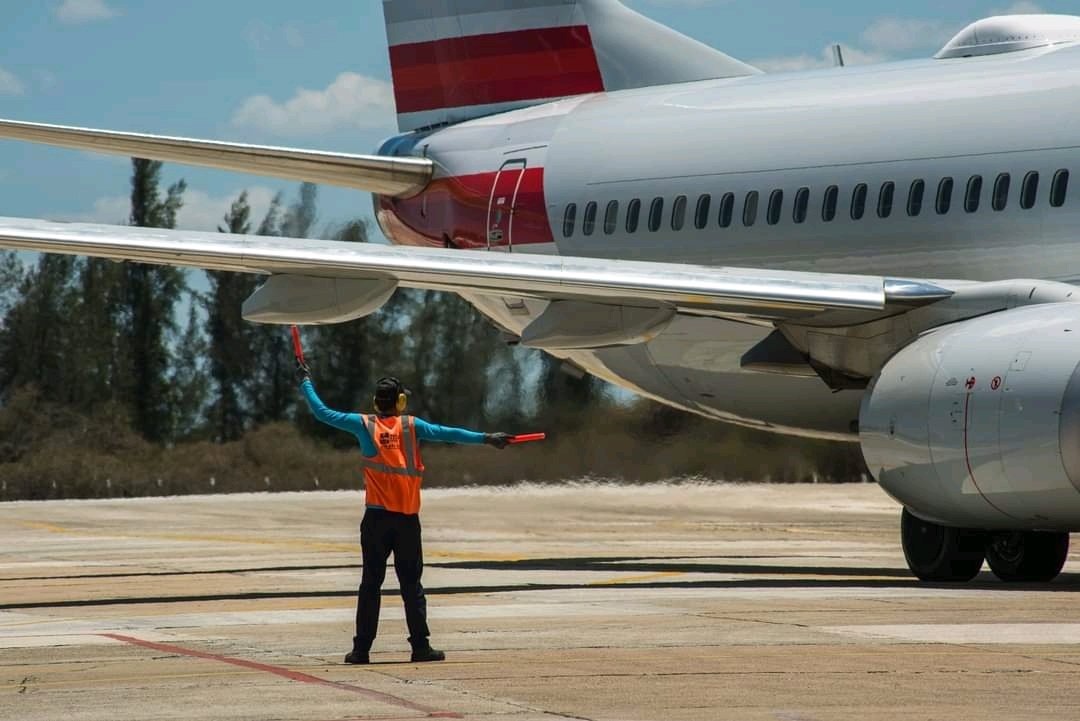 Hagas lo que hagas, hazlo bien.
#TransportEspirituano 
.
📸 Naturaleza Secreta