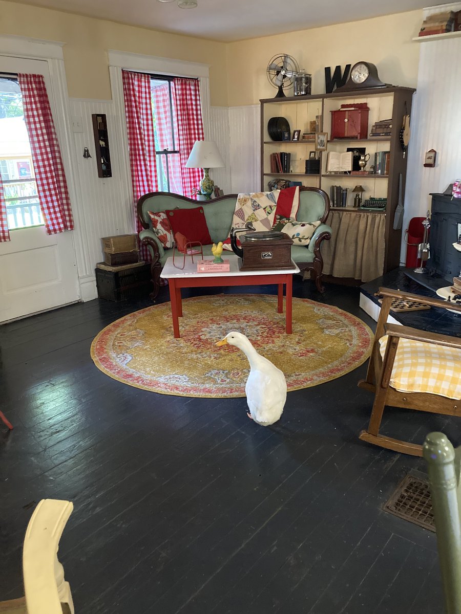 I left for work and look who my mom found in the living room! He followed the dogs in apparently