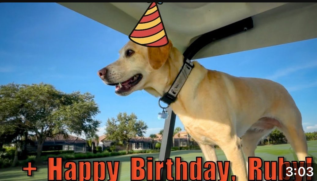 Gabe Gallo (@galloturf) on Twitter photo ⛳️ Eagle Course Video Update! +Ruby
<a href="/EGCSAHome/">Everglades GCSA</a> <a href="/DogsOfTurf/">Dogs Of Turf</a>
👇Watch here👇
youtu.be/7F0Nql6kR1k?si… ⛳️ Eagle Course Video Update! +Ruby
<a href="/EGCSAHome/">Everglades GCSA</a> <a href="/DogsOfTurf/">Dogs Of Turf</a>
👇Watch here👇
youtu.be/7F0Nql6kR1k?si…