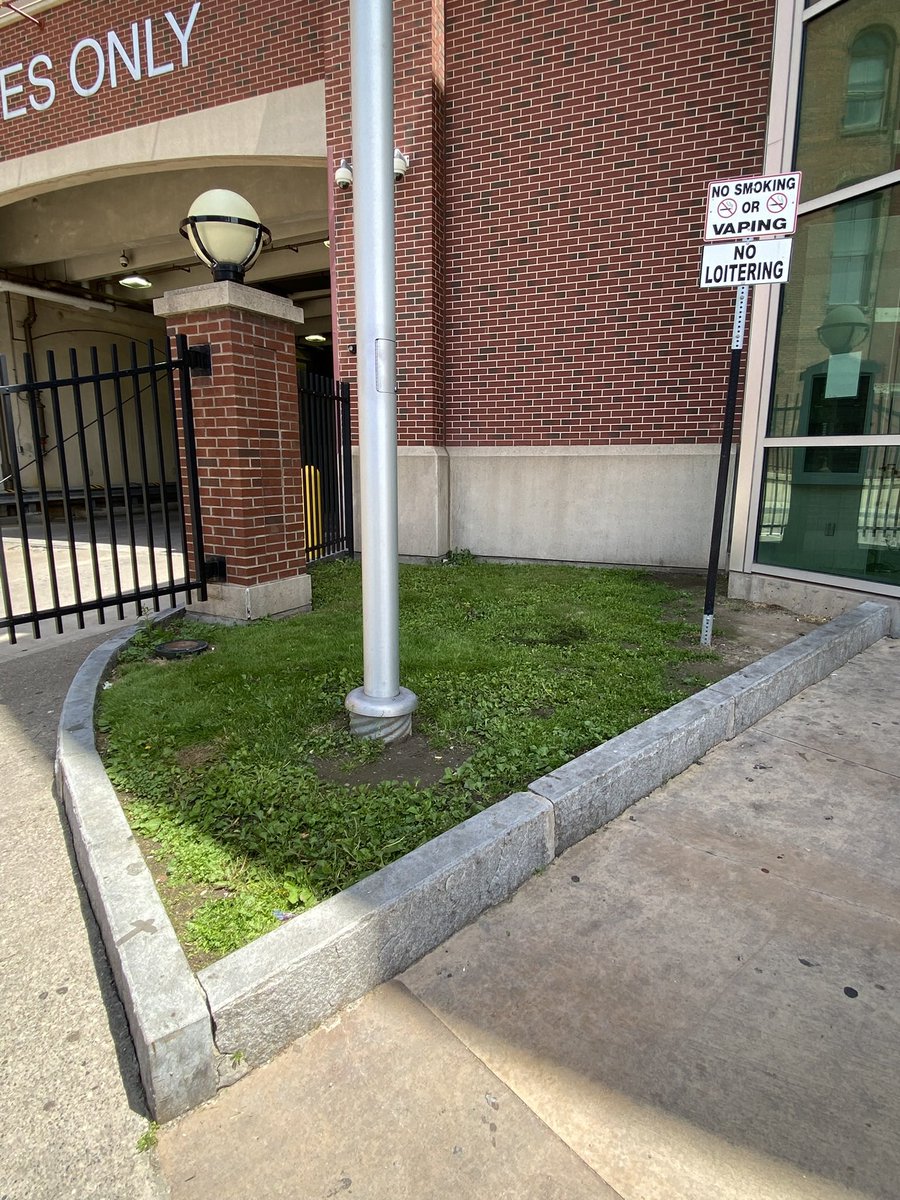Should we give these wells on either side of the entrance to the RTS Transit Center the Downtown ROCs treatment?