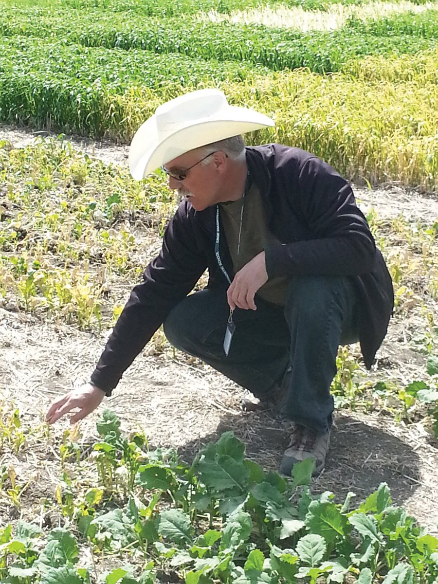 Check out our past webinar about invasive species in Native Prairie by the Government of Saskatchewan Weed Management Specialist – Clark Brenzil:
youtu.be/iK1C6mpVp54?si…

#invasiveweeds #yqr #yxe #KeepSaskWild #SaskBeef #AgMoreThanEver 
Image: grainews.ca/features/herbi…