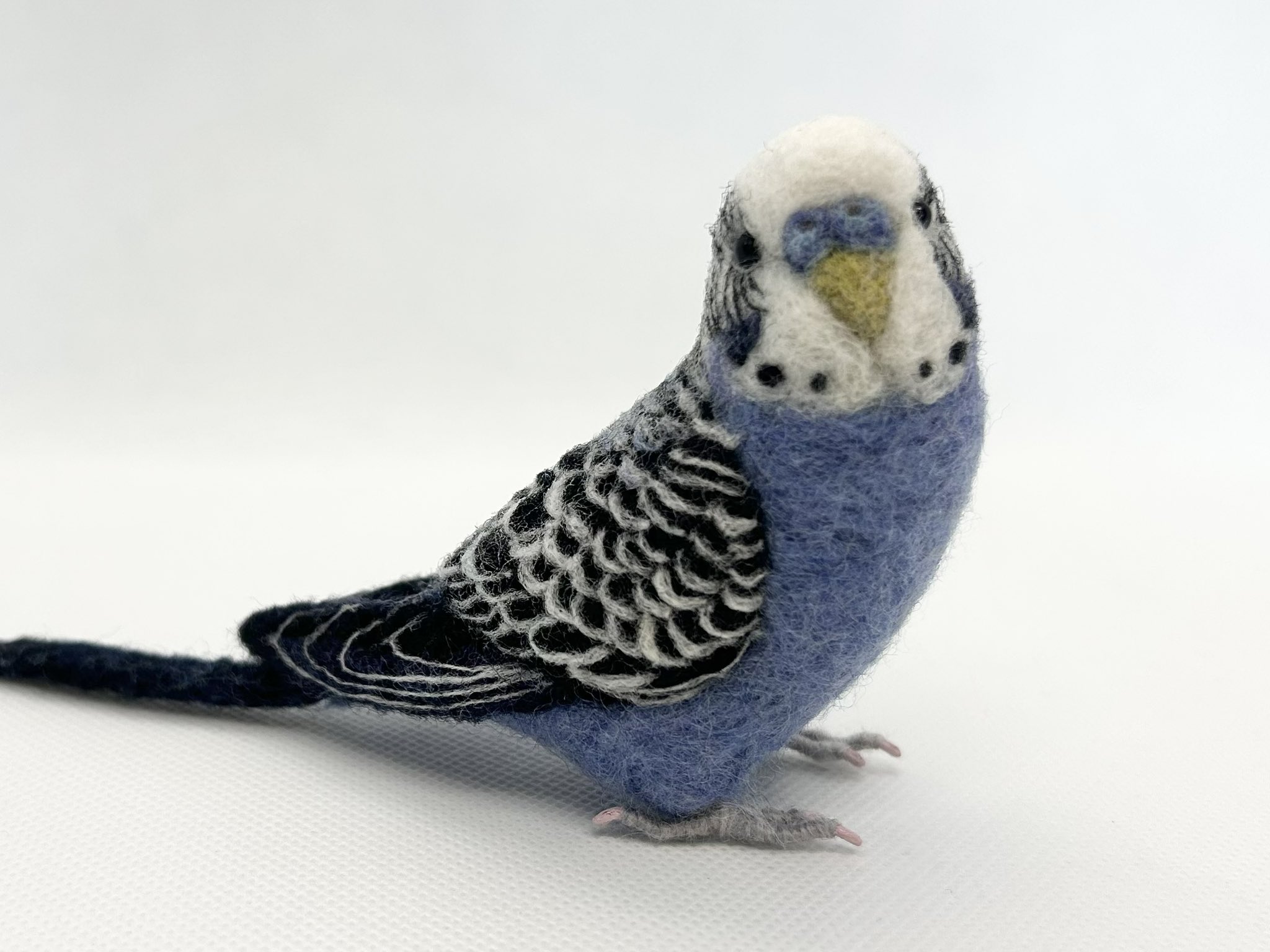 tama♡3月限定特価♡カーネーション　セキセイインコ　フラワーリース 03f6750ce1e24f560e4969454056cb