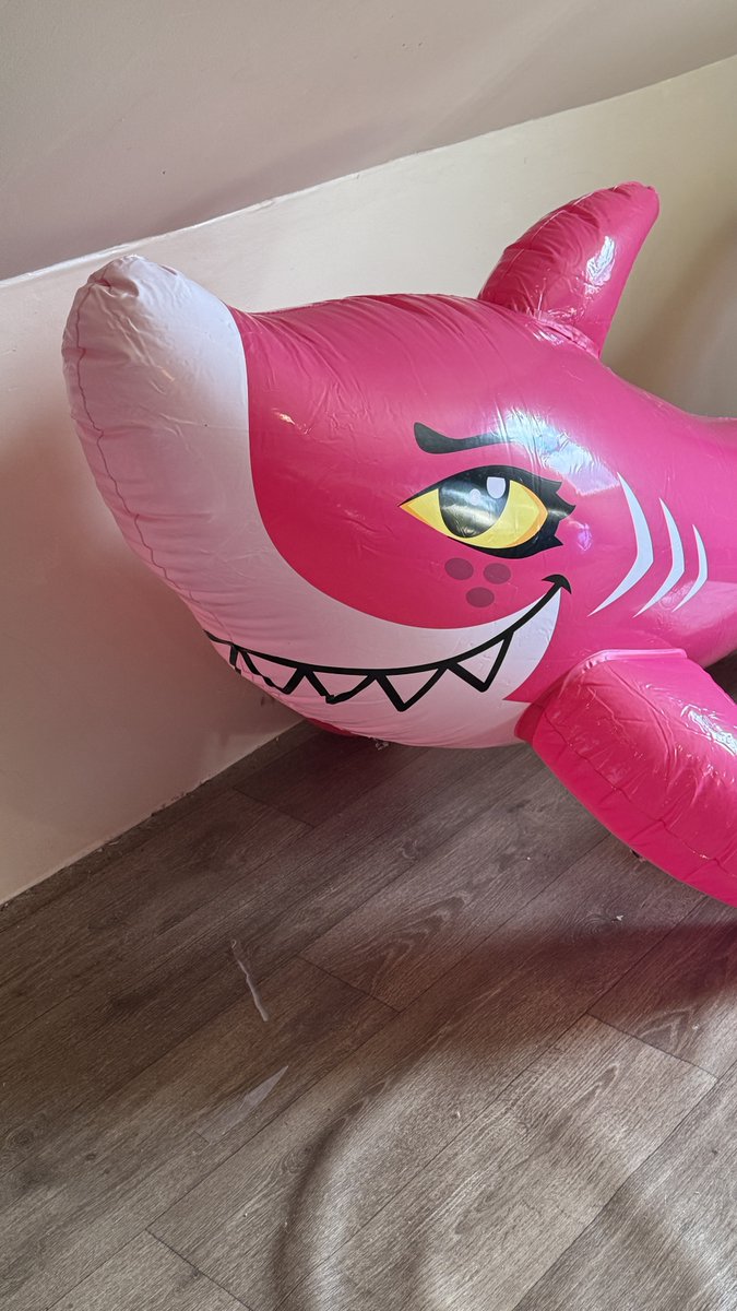 ZedTiger's tweet photo. For sale (US based): 2x NIB (uninspected) Cora inflatable sharks. $375 each, free shipping, buy both &amp; get a $100 credit back to your payment method directly after payment. Pictured toy is an opened unit, the 2 for sale are unopened in the original boxes: https://t.co/PcAQKZpvcg https://t.co/2nA6Q8KRpu
