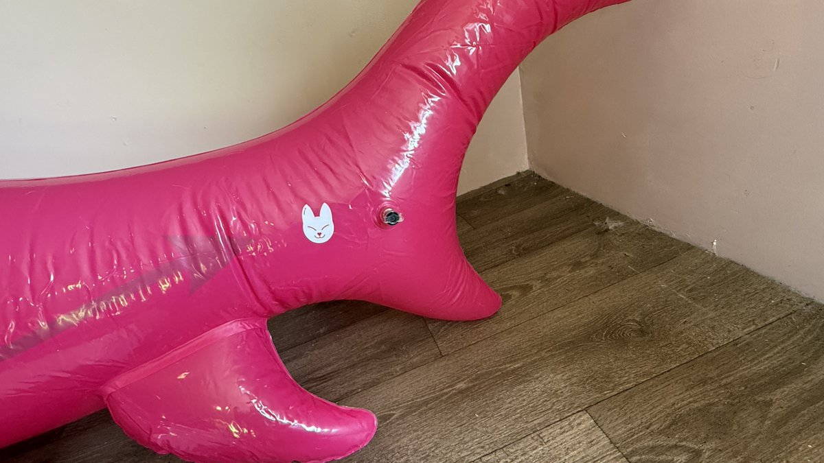 ZedTiger's tweet photo. For sale (US based): 2x NIB (uninspected) Cora inflatable sharks. $375 each, free shipping, buy both &amp; get a $100 credit back to your payment method directly after payment. Pictured toy is an opened unit, the 2 for sale are unopened in the original boxes: https://t.co/PcAQKZpvcg https://t.co/2nA6Q8KRpu