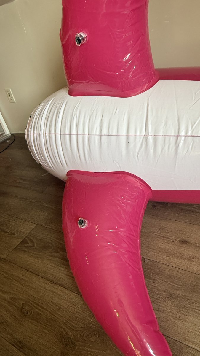 ZedTiger's tweet photo. For sale (US based): 2x NIB (uninspected) Cora inflatable sharks. $375 each, free shipping, buy both &amp; get a $100 credit back to your payment method directly after payment. Pictured toy is an opened unit, the 2 for sale are unopened in the original boxes: https://t.co/PcAQKZpvcg https://t.co/2nA6Q8KRpu