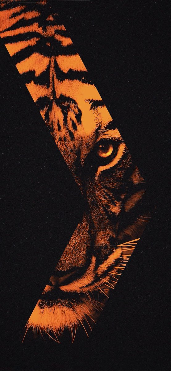 SSRtweetz's tweet photo. Here's some wallpapers 🤌
#Wallpaper https://t.co/2T8hSi5NTX