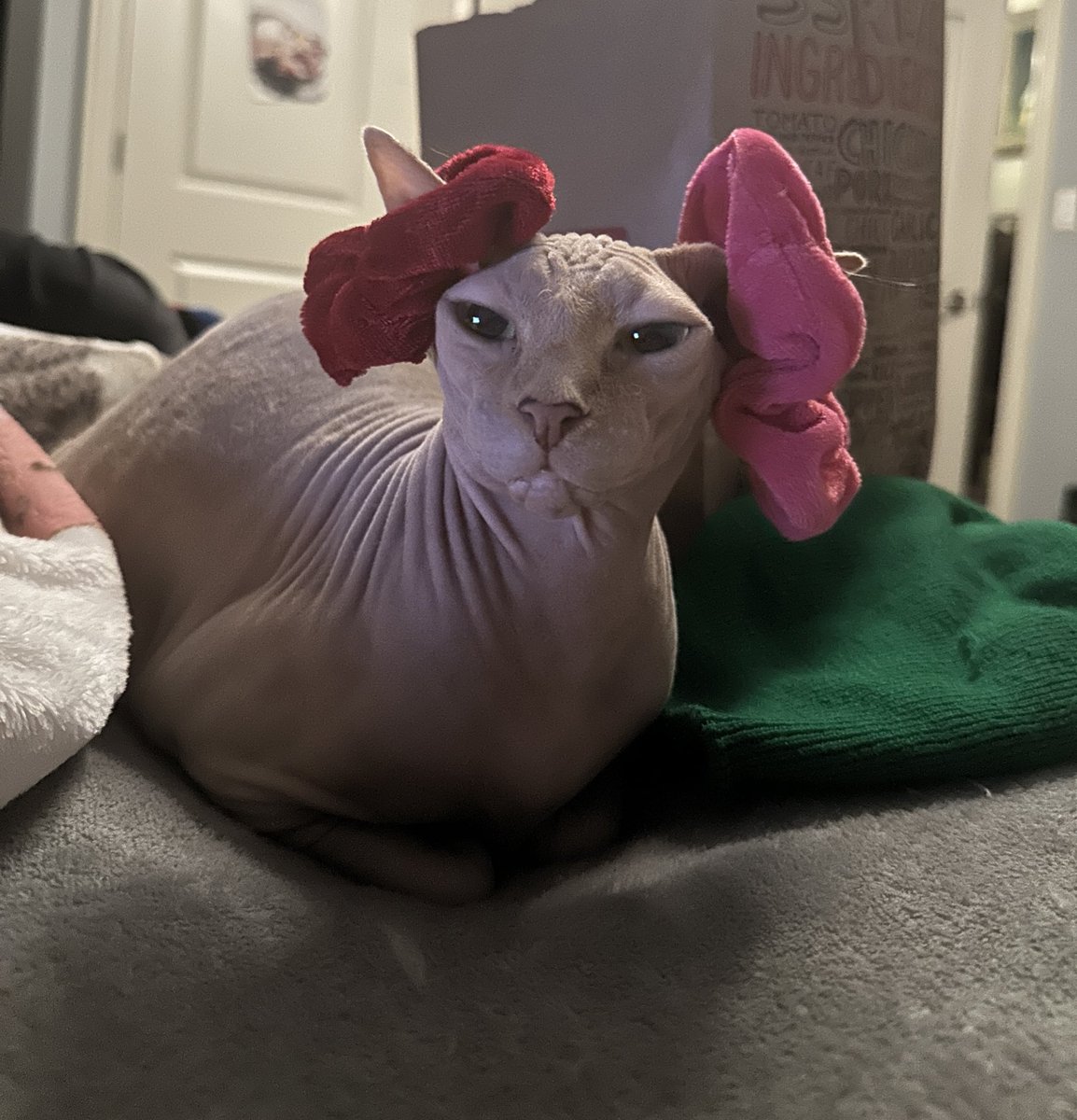 gmchickienuggie's tweet image. do ime look liek a ""joke"" to u ??