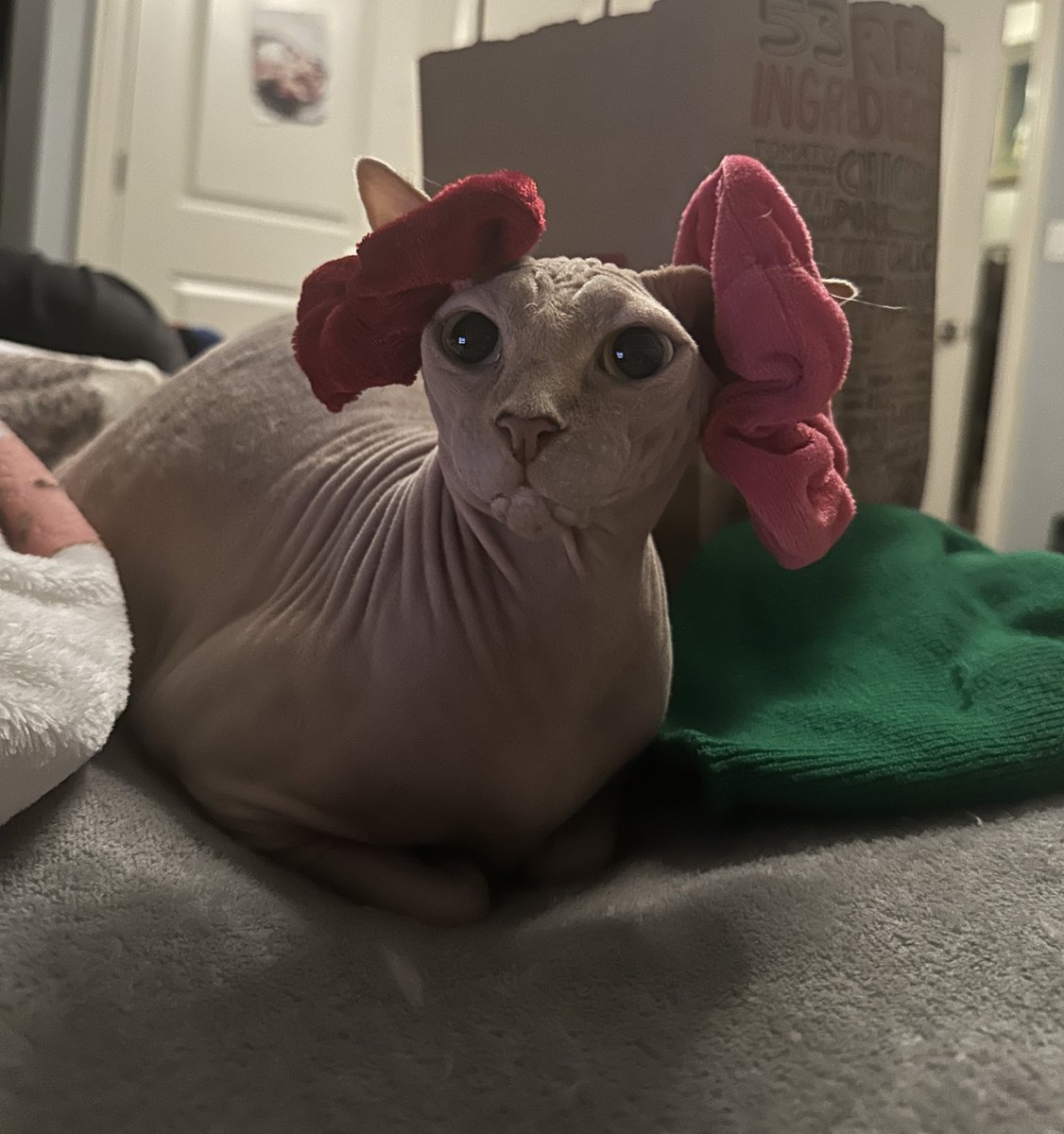 gmchickienuggie's tweet image. do ime look liek a ""joke"" to u ??