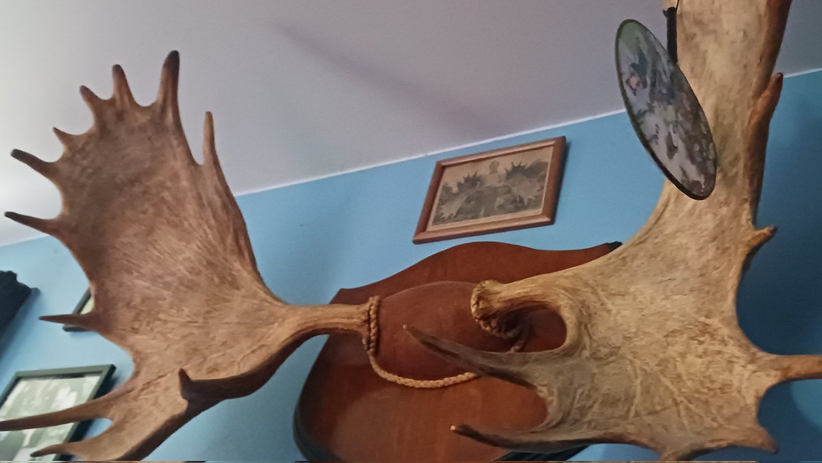 clarksonrulez's tweet image. @CollinComedy Loved hearing about Pymatuning! My grandparents took us there yearly for a week or more, living on walleye, perch, &amp;amp; bluegill, and cereal. Thanks for all the laughs! We saw you a couple times downtown n'at. (w/ @JessicaKirson)  youtu.be/qyRGilD1cMs?si…