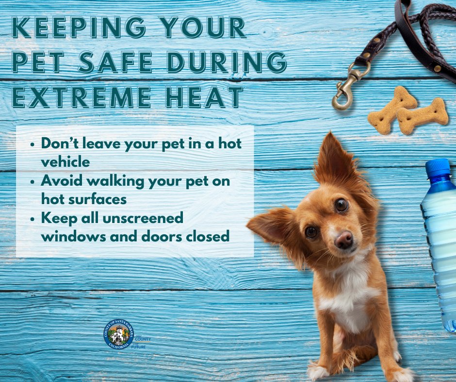 countyofsb's tweet image. Here are some things to keep in mind to make sure your pets stay safe during extreme heat! ☀️💦
To learn more, visit redcross.org/about-us/news-…
#SantaBarbaraCounty #HeatSafety #PetSafety