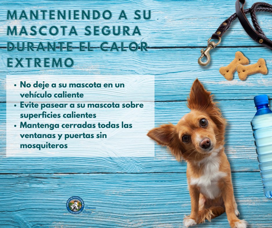 countyofsb's tweet image. Here are some things to keep in mind to make sure your pets stay safe during extreme heat! ☀️💦
To learn more, visit redcross.org/about-us/news-…
#SantaBarbaraCounty #HeatSafety #PetSafety