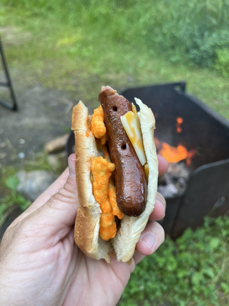 turtology's tweet image. Literally out here inventing Michelin star meals while camping. Unbelievable.