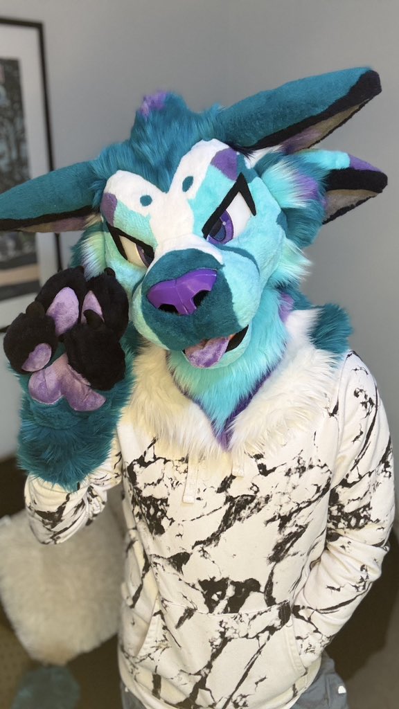 Pandora the Deuzear is finally alive! 

I cannot say how happy I am with <a href="/Chonky_Tiel/">Chonky 'Tiel Creations 🐦 Closed Commissions 🧵</a> for their great work and super fast turnaround. 

#furry #fursuit #deuzear