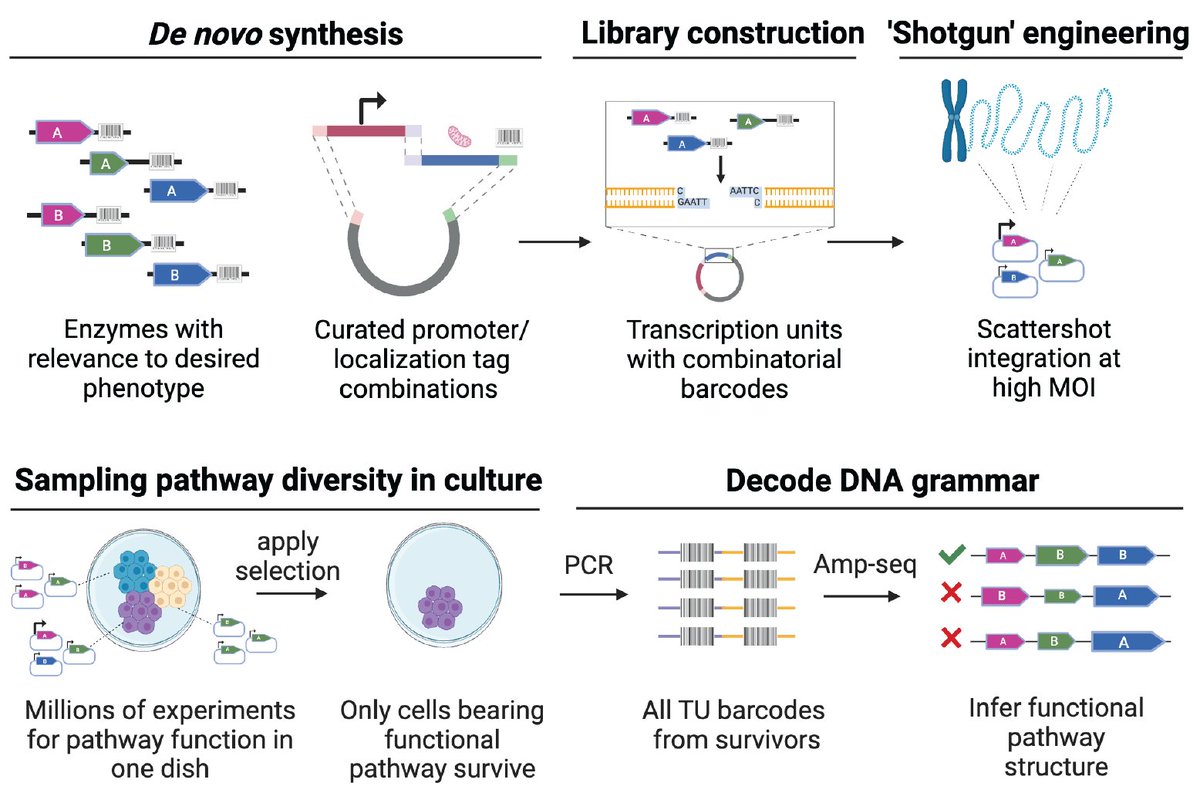 Sudarshan Pinglay tweet media