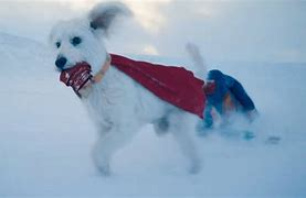 Armond White (@3xchair) on Twitter photo This is true. #JamesGunn #Superman is a dog. Are you gonna trust me or the shills? Thanks <a href="/hoe_mansen/">The Nice Guys (2016) lover</a> Here's why: This is true. #JamesGunn #Superman is a dog. Are you gonna trust me or the shills? Thanks <a href="/hoe_mansen/">The Nice Guys (2016) lover</a> Here's why: