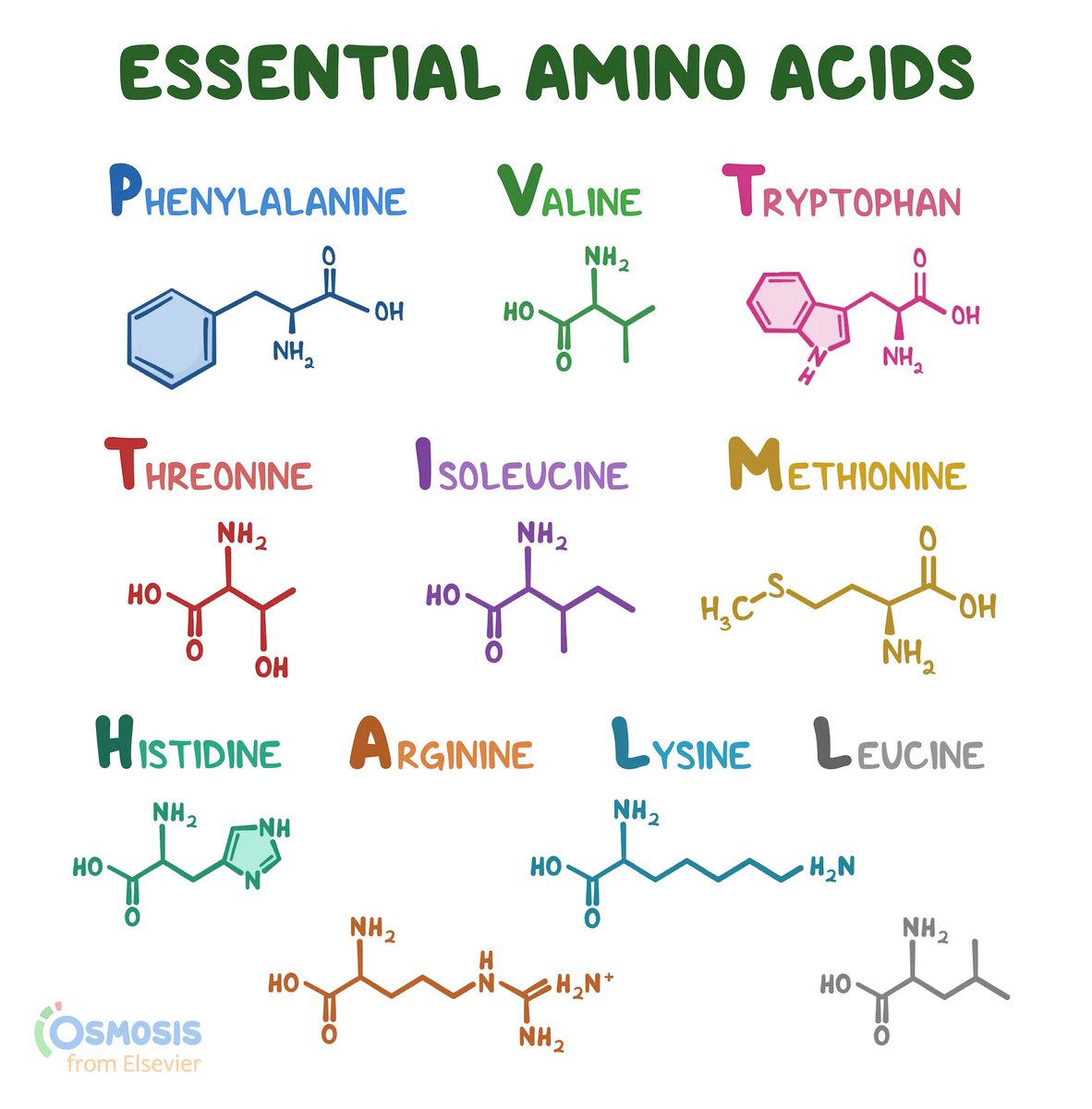 Sudarshan Pinglay tweet media