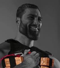 Analytica Camillus tweet media