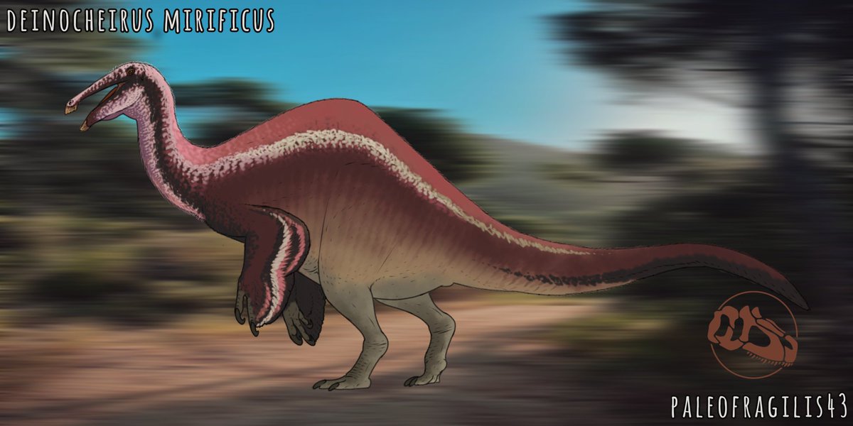 MrFragilis's tweet image. did you miss me? 
deinocheirus the monstrous duck!! 
#deinocheirus #dinosaurs #paleoart #paleoarte