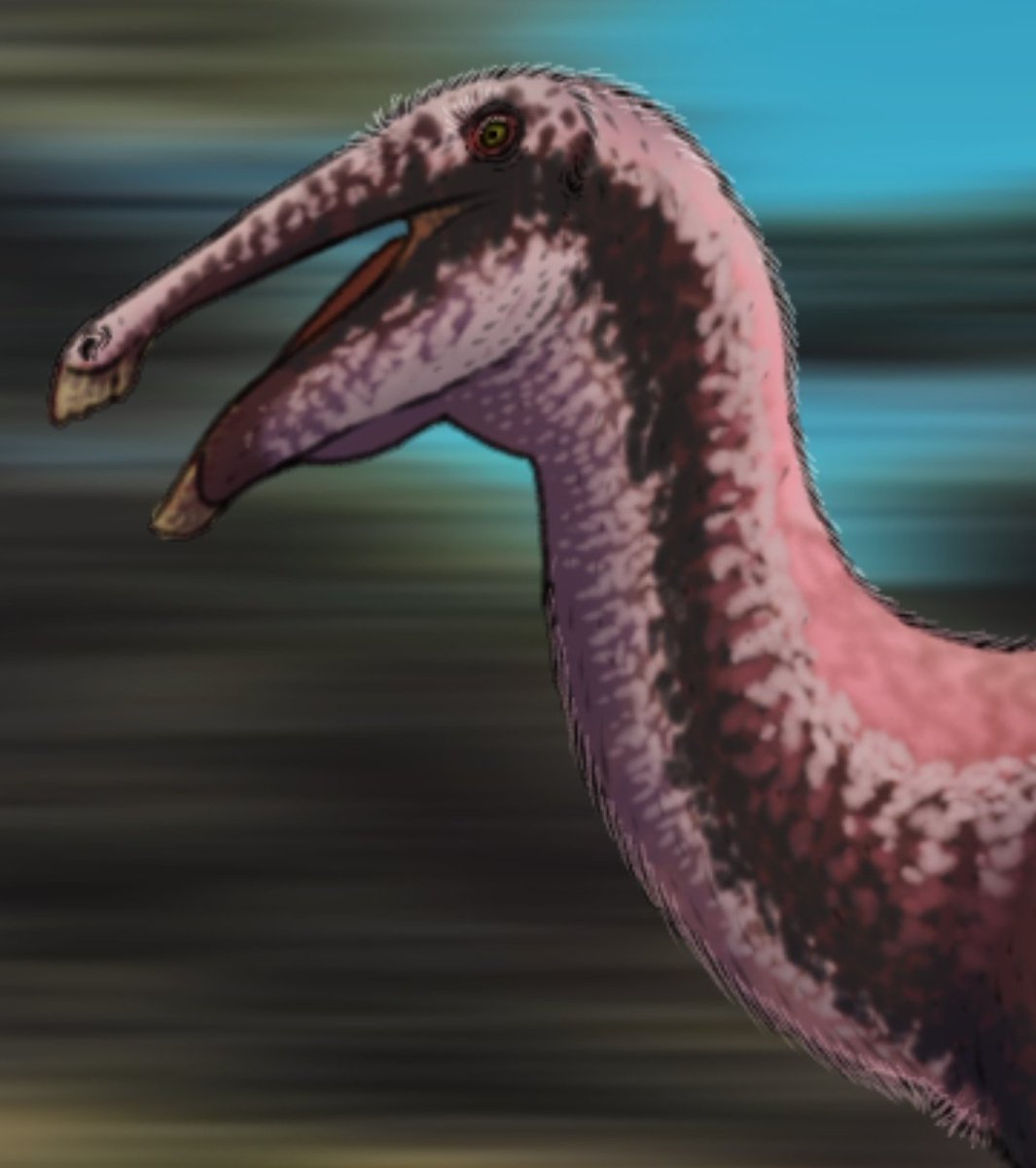 MrFragilis's tweet image. did you miss me? 
deinocheirus the monstrous duck!! 
#deinocheirus #dinosaurs #paleoart #paleoarte