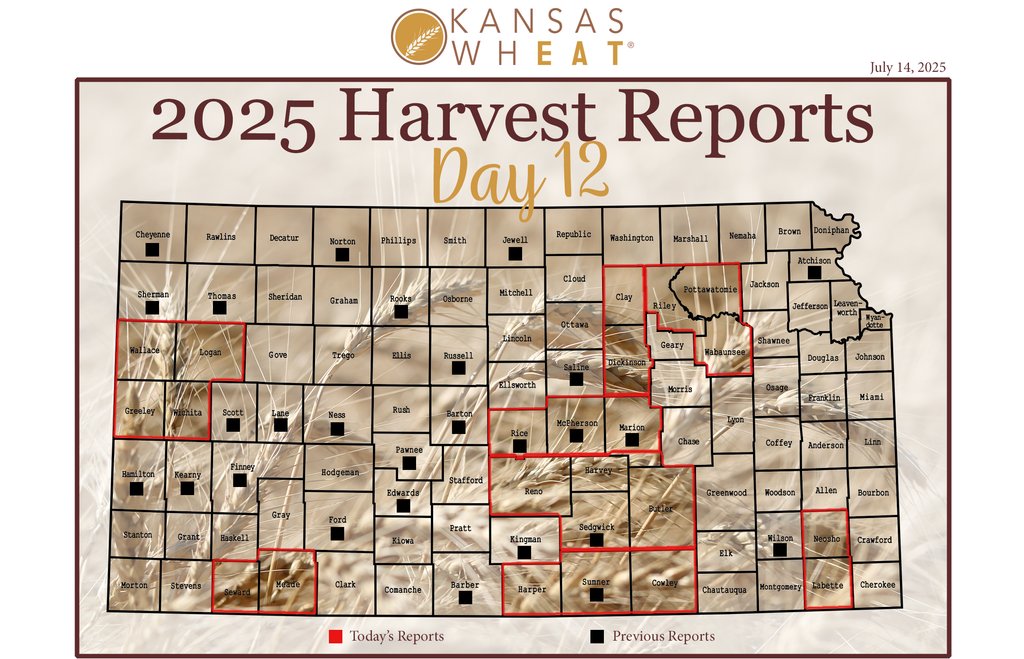𝐅𝐢𝐧𝐚𝐥 𝐇𝐚𝐫𝐯𝐞𝐬𝐭 𝐑𝐞𝐩𝐨𝐫𝐭: #wheatharvest25 is 93% complete. Yields varied from below average to excellent. Many areas reported strong test weights and protein; rain during harvest lowered quality in others, leading to yield loss, abandonment. kswheat.com/harvest12