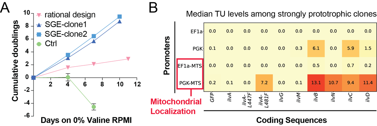 Sudarshan Pinglay tweet media