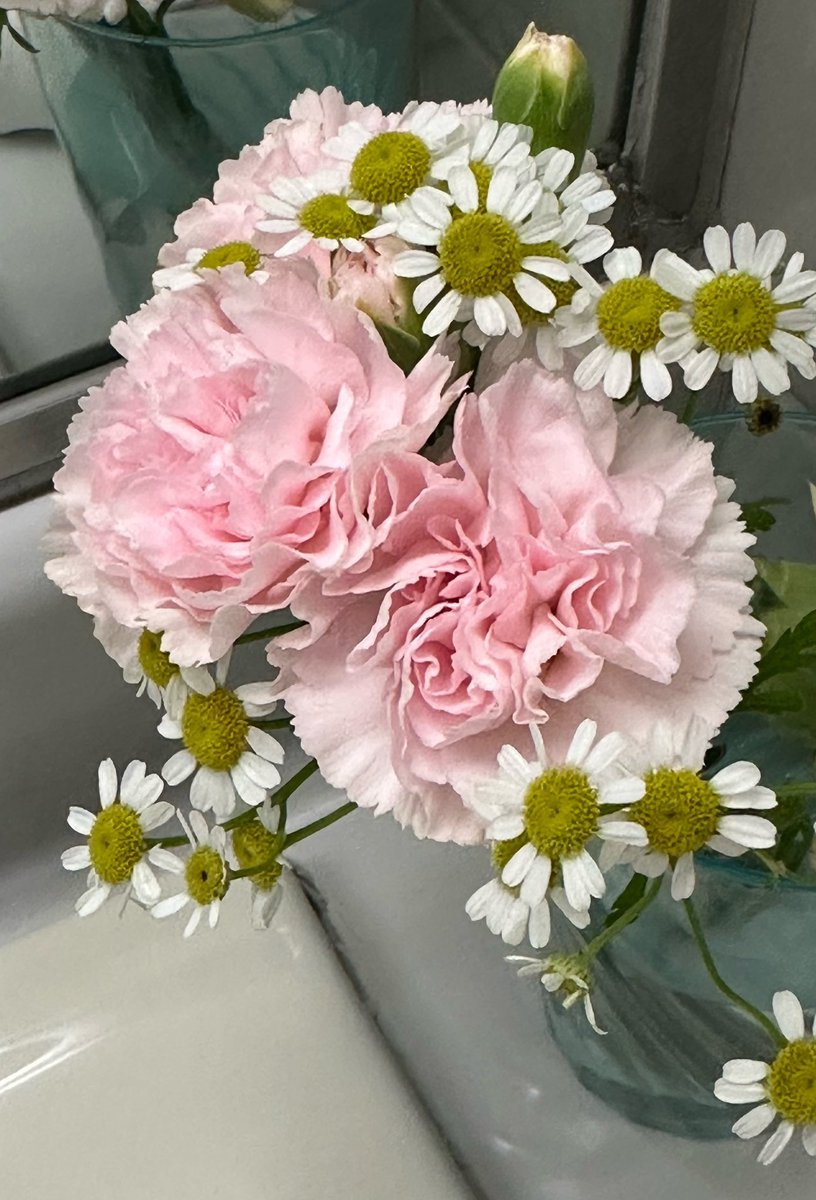 kaore_de's tweet image. 7月15日(火)記念日🎉
おはようございます🎀
ෆ┈┈┈┈┈┈┈┈┈┈┈┈ෆ
💐𓈒𓏲お盆・盂蘭盆会
💐𓈒𓏲中元
💐𓈒𓏲世界ユース技能デー
💐𓈒𓏲大阪港開港記念日
💐𓈒𓏲ファミコンの日
ෆ┈┈┈┈┈┈┈┈┈┈┈┈ෆ
暑い日も
ほろりと崩れる
じゃがいもみたいに
素直でいたい