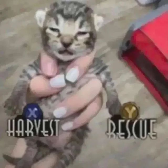 🕐HOURLY🕑 shitpost tweet media