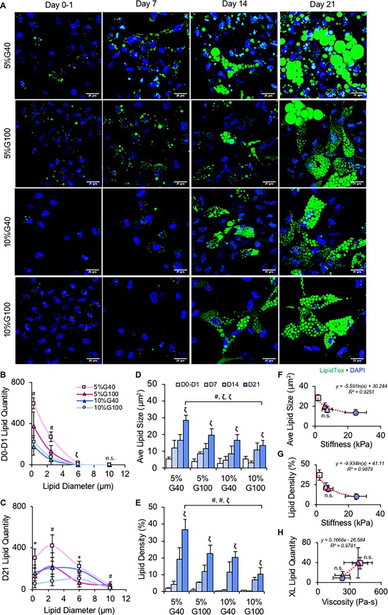 Tissue Engineering (@tissueengin) on Twitter photo Check out this recent article from <a href="/ButcherLab/">ButcherLab</a> <a href="/Cornell/">Cornell University</a> on the role of matrix stiffness and viscosity on lipid phenotype and fat lineage potential!
Read more here: doi.org/10.1089/ten.te… Check out this recent article from <a href="/ButcherLab/">ButcherLab</a> <a href="/Cornell/">Cornell University</a> on the role of matrix stiffness and viscosity on lipid phenotype and fat lineage potential!
Read more here: doi.org/10.1089/ten.te…
