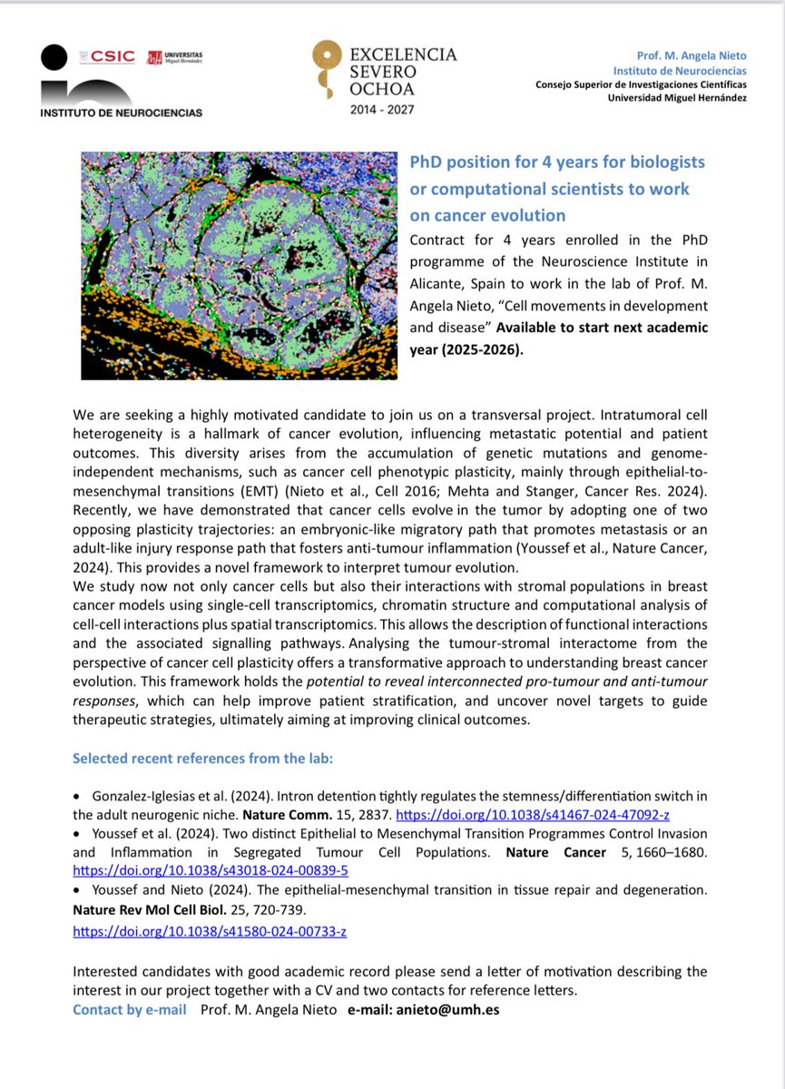 #JobOffer 4y PhD student contract in my lab for next academic year 25-26 for biologists or computational scientists. To work on cell plasticity in cancer progression. See below. <a href="/NeuroAlc/">Instituto de Neurociencias UMH-CSIC</a> @CSIC@UniversidadMH <a href="/ASEICAnews/">ASEICA</a> <a href="/RACiencias/">RACiencias</a> @SEBD <a href="/SEBBM_es/">SEBBM</a> <a href="/SEBCellular/">SEBCell</a> <a href="/CancerCSIC/">Conexión Cáncer CSIC</a>
