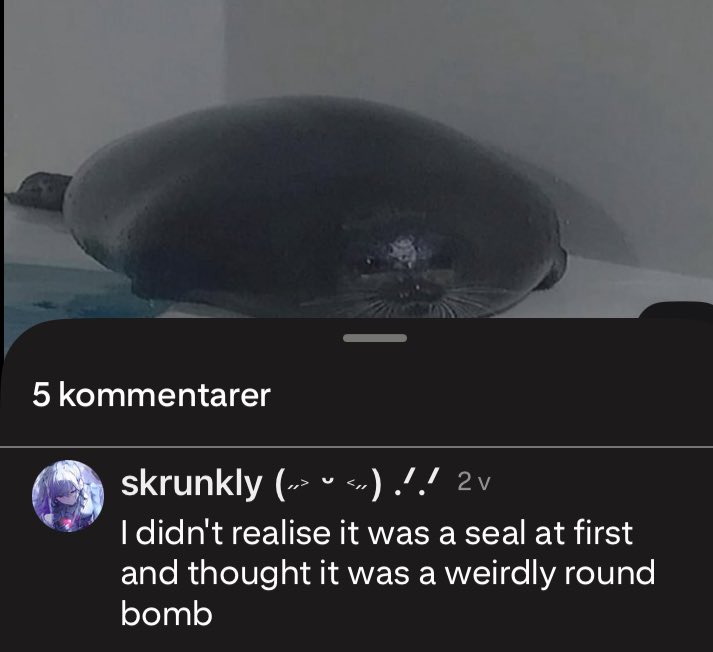 This comment is killing me