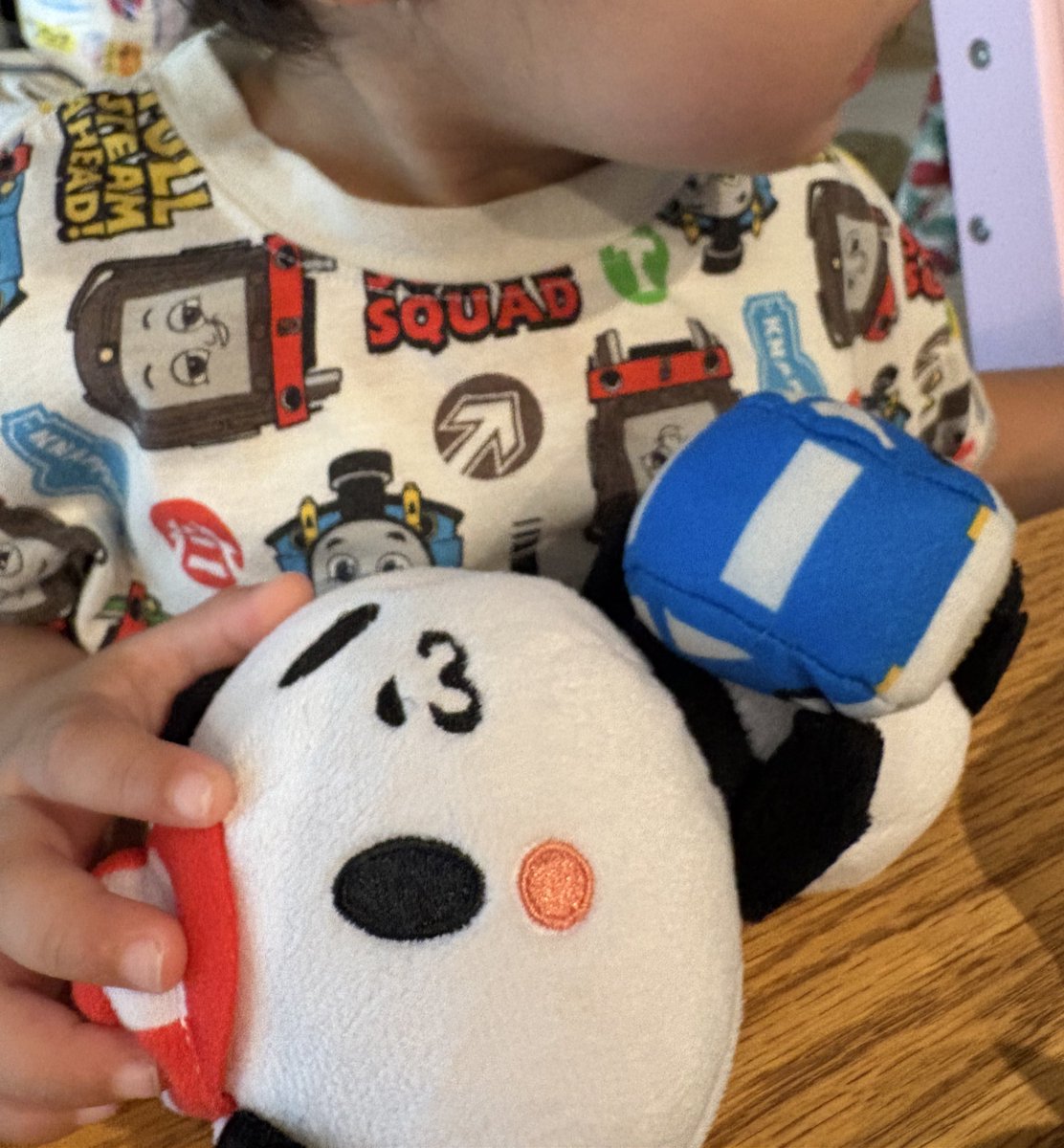 おはみぃ❉Amazonお疲れさまでした .′.′
やっと平穏な毎日が戻ってくる疲れた🥱
もっと効率良くできるように、次回に備えてまとめていこうかなぁ！

息子の最近のお気に入り
捨て…てなくてよかった

今日もよろしく¨̮♡︎