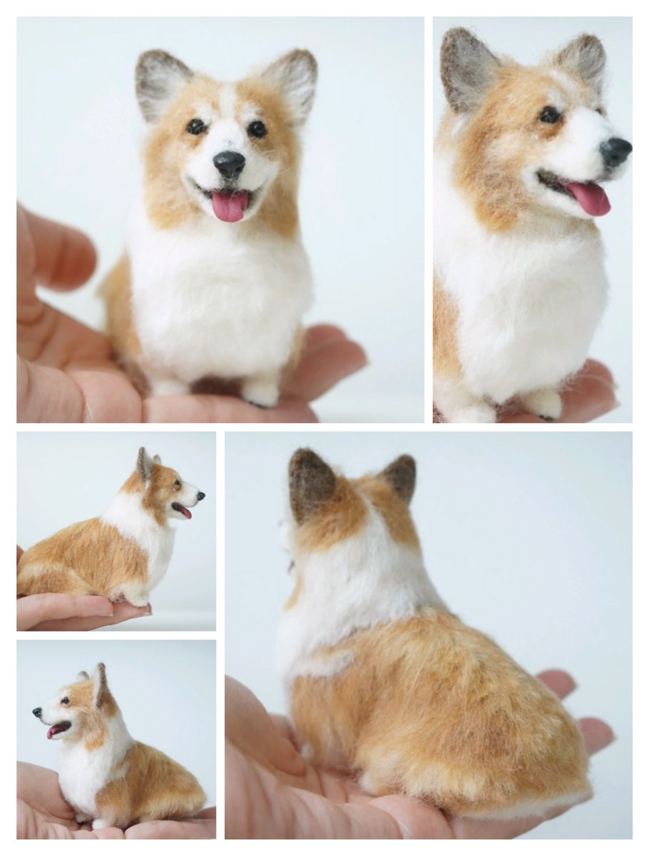 フラッフィーのコーギー茶太郎くんです