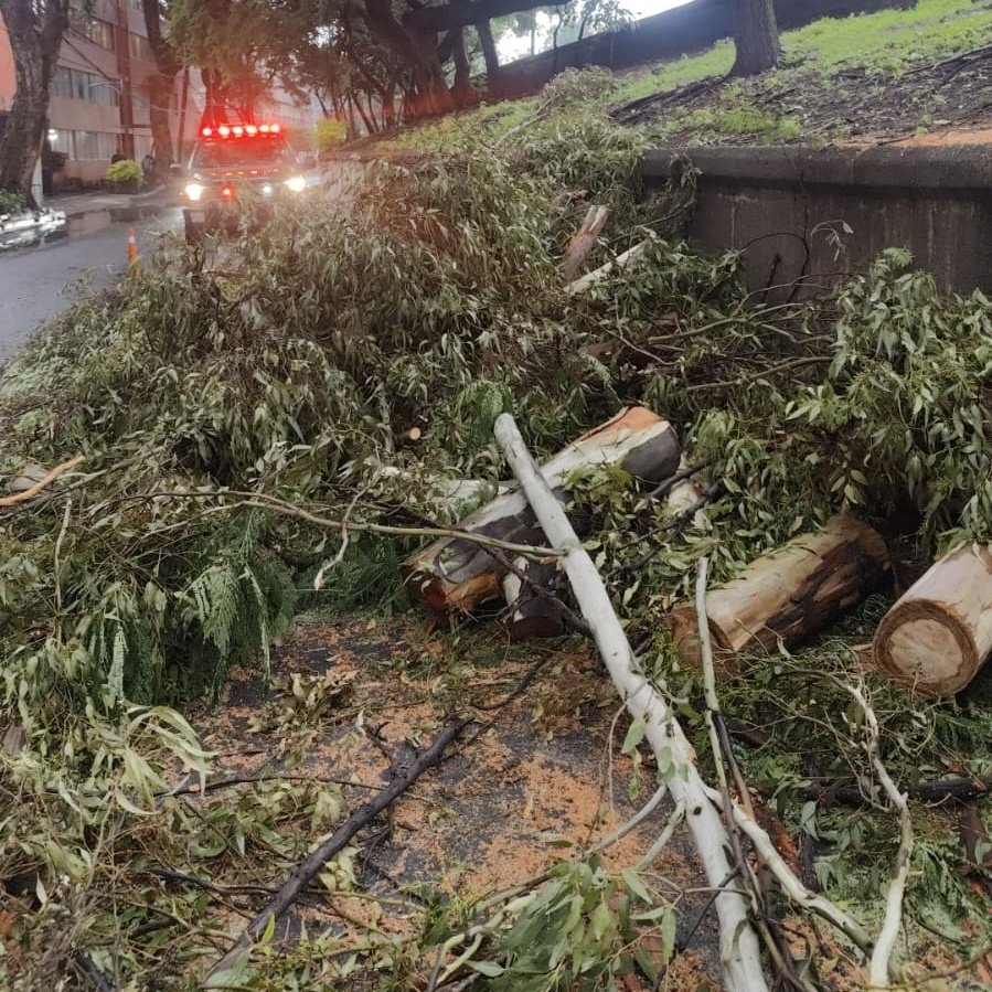 Bomberos Ciudad de México Oficial (@bomberos_cdmx) on Twitter photo Acudimos a retirar un árbol que se desprendió desde la raíz, en Viaducto Río Becerra esquina Alabama, colonia Napoles, en <a href="/BJAlcaldia/">Alcaldía de Benito Juárez</a>
<a href="/JefeVulcanoCova/">Jefe Vulcano Cova</a> Acudimos a retirar un árbol que se desprendió desde la raíz, en Viaducto Río Becerra esquina Alabama, colonia Napoles, en <a href="/BJAlcaldia/">Alcaldía de Benito Juárez</a>
<a href="/JefeVulcanoCova/">Jefe Vulcano Cova</a>