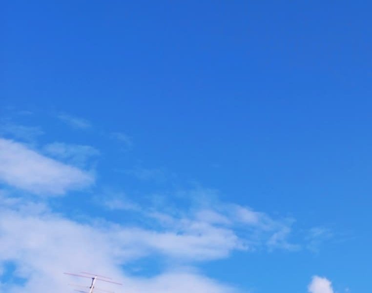 朝の散歩🚶‍♂️