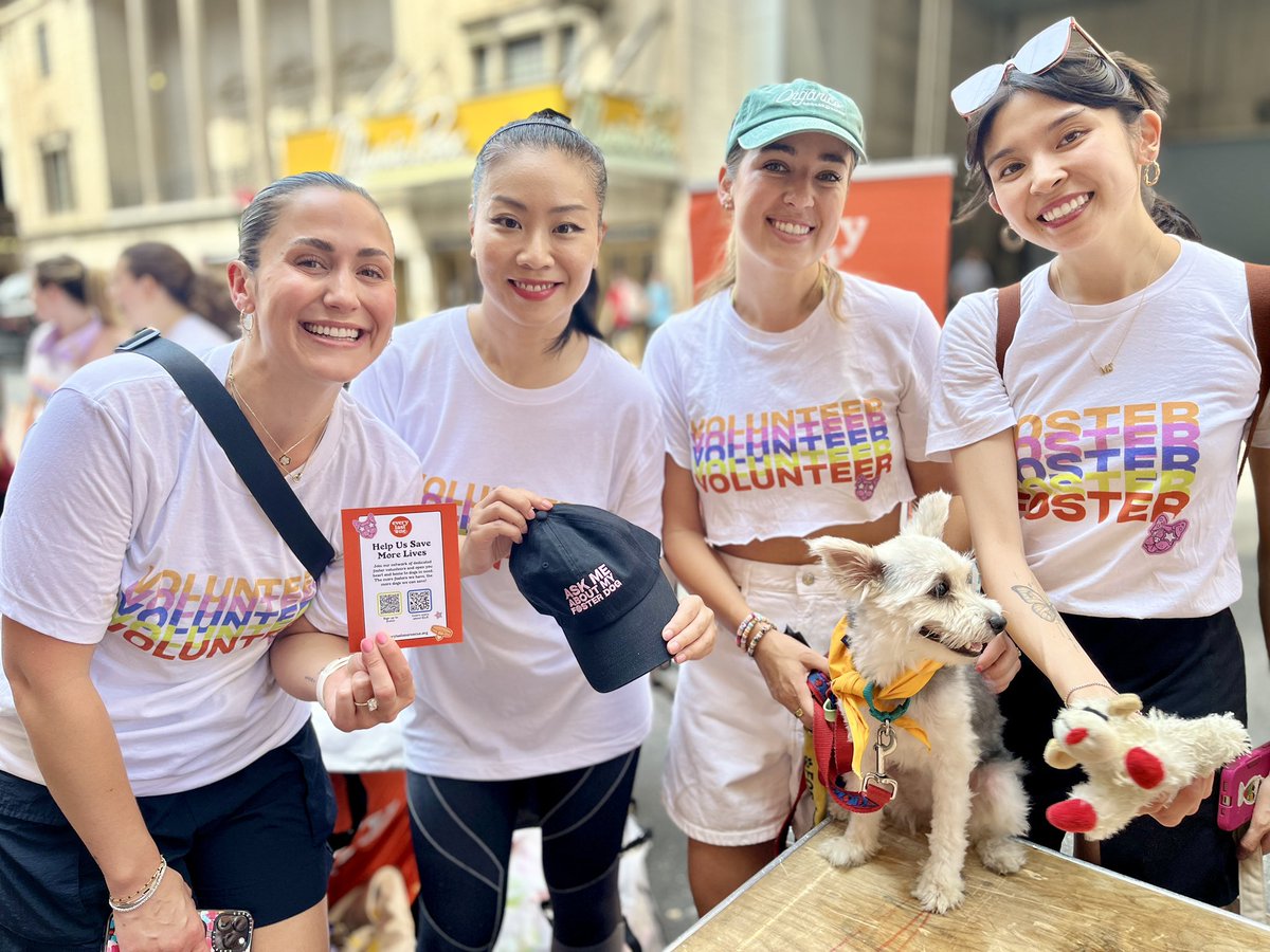TheWuReport's tweet image. Thank you, @BroadwayBarks, for dedicating a day to #newyork #animalrescues trying to find forever homes to these amazing fur babies! Shout out to all the rescue volunteers who showed up for their fosters! Check out Every Last One Rescue dogs and pups: tinyurl.com/ELORescues