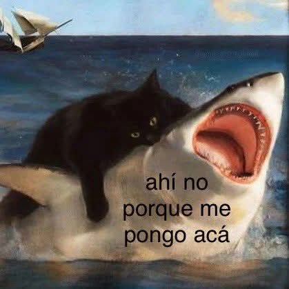 nxstypxet's tweet image. 