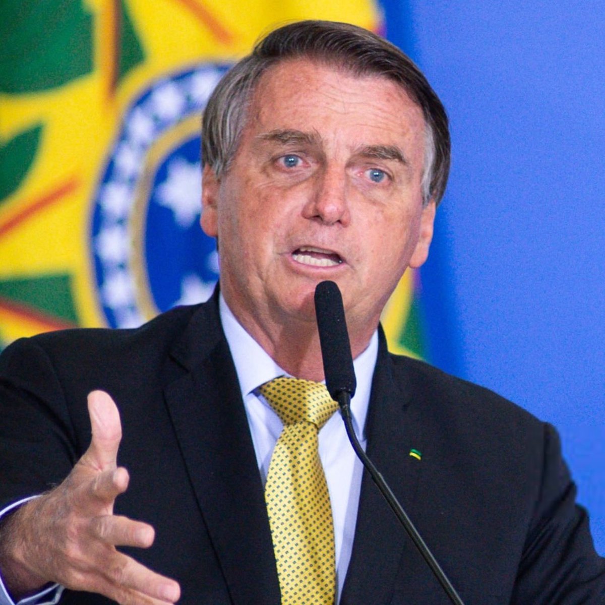 poponze's tweet photo. Danilo Gentili DETONA Jair Bolsonaro:

“Falta você e sua família de vagabundos serem varridos para a lata de lixo da história. Falta ter alguém que não rifaria o país inteiro para livrar filho rachador de investigação e que não vive de mamata na Disney.” https://t.co/QTSey5LGIj