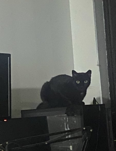 Meet Luna — one of the key (and cutest) characters from Code Name: The Stream, our new original IP in development!

Swipe to see our inspo 🐈‍⬛

Hit follow and stay tuned for more behind-the-scenes drops as the story unfolds 👾

#animation #animationart #digitalart #characterdesign