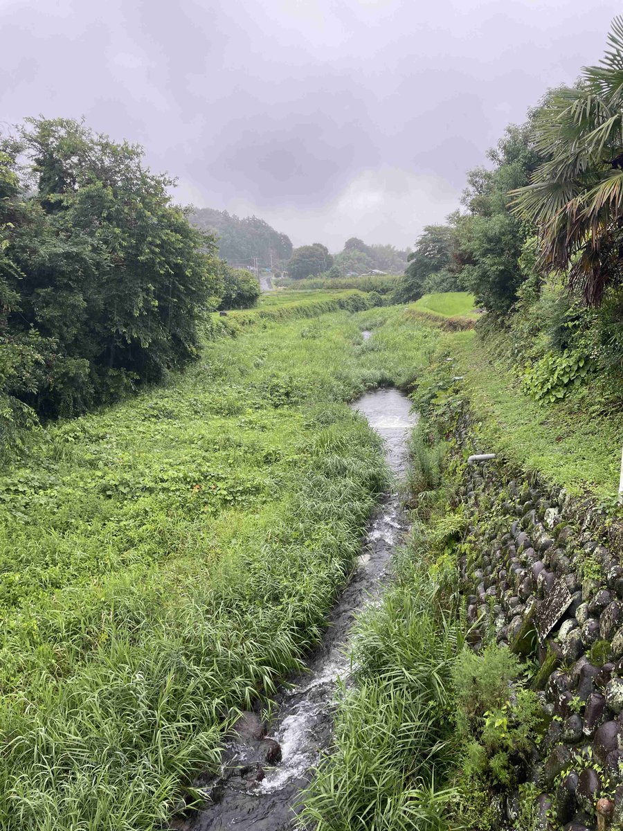 #豪雨
パトロール/状況報告
高崎市箕郷町善地 車川 異常なし #群馬県建設業協会 #建設業協会 #建設業 #群馬県
2025/07/15 08:17 1