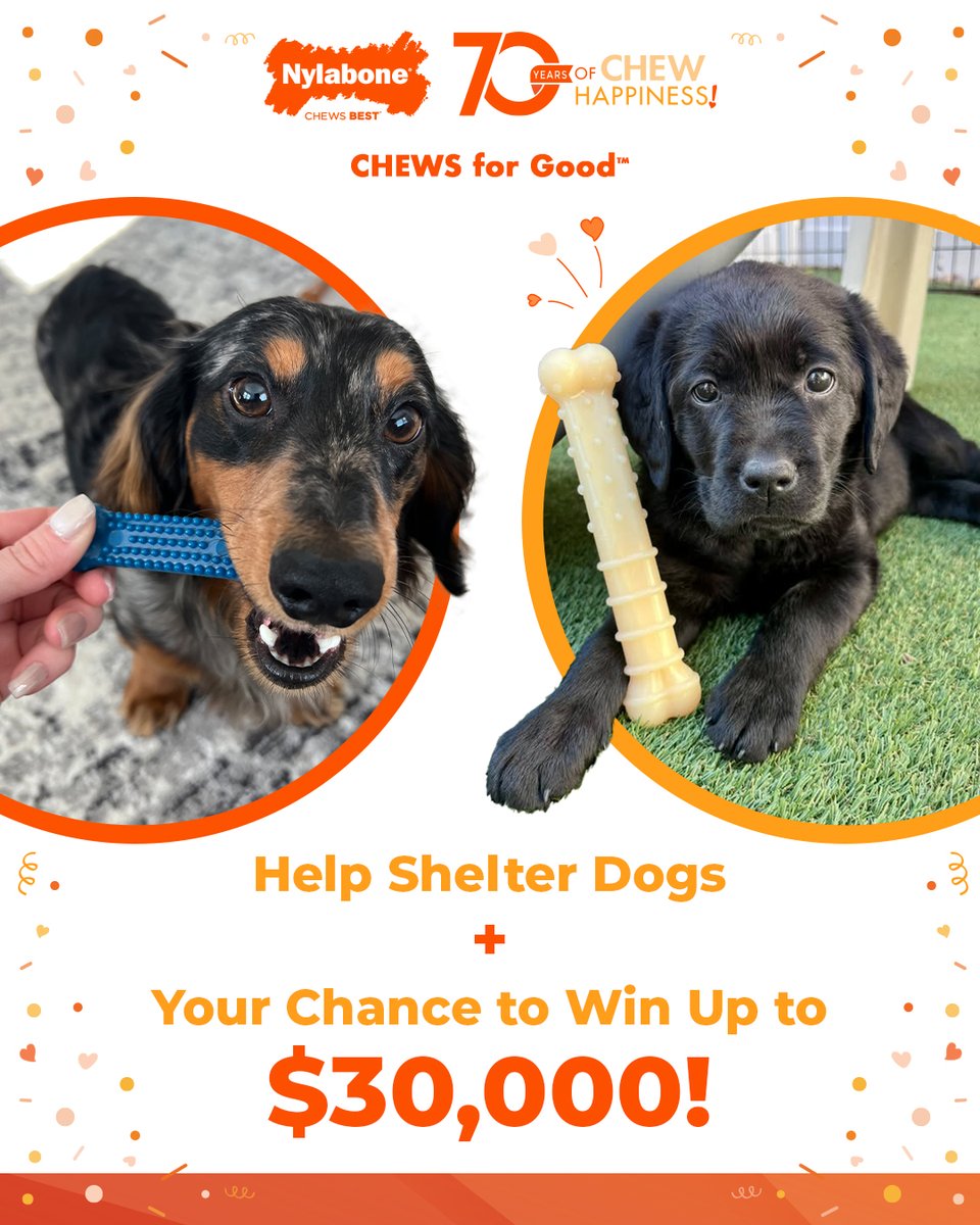 Have you entered yet? 👉 Simply buy a Nylabone chew toy or treat, upload your receipt, and we'll donate a toy to a shelter dog!

rb.gy/v2qp0v

#Nylabone #ChewsForGood #shelterdogs