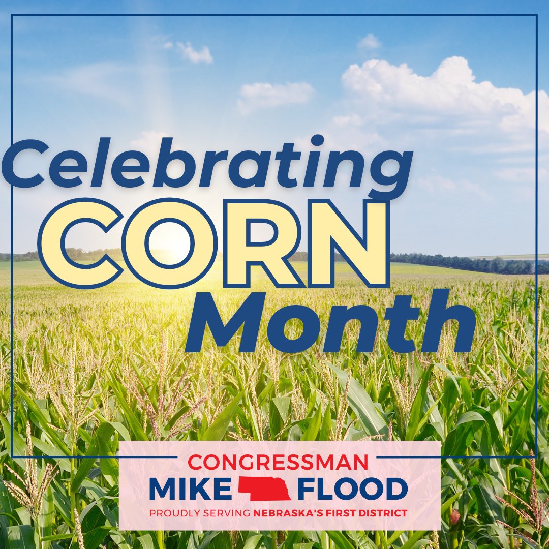 USRepMikeFlood's tweet photo. July is National #CornMonth. 🌽
Nebraska ranks #3 nationally for corn for grain production and corn exports.
From feeding the world to producing ethanol, Nebraska corn is the basis of the food and fuel consumers rely on! https://t.co/Uz4uqa6e6Y