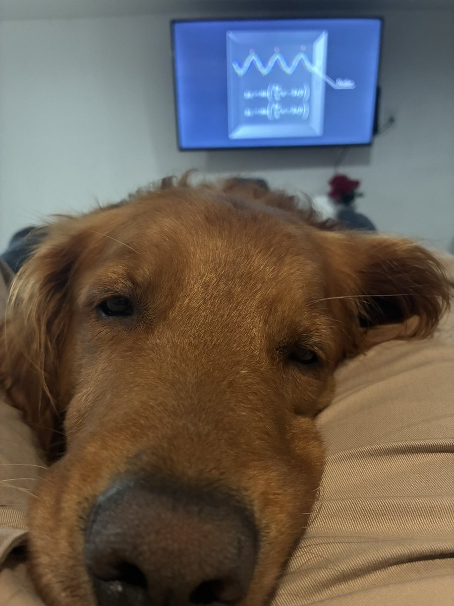 H2Colby's tweet image. and then i get to come home and do emails and watch physics lectures with this view??