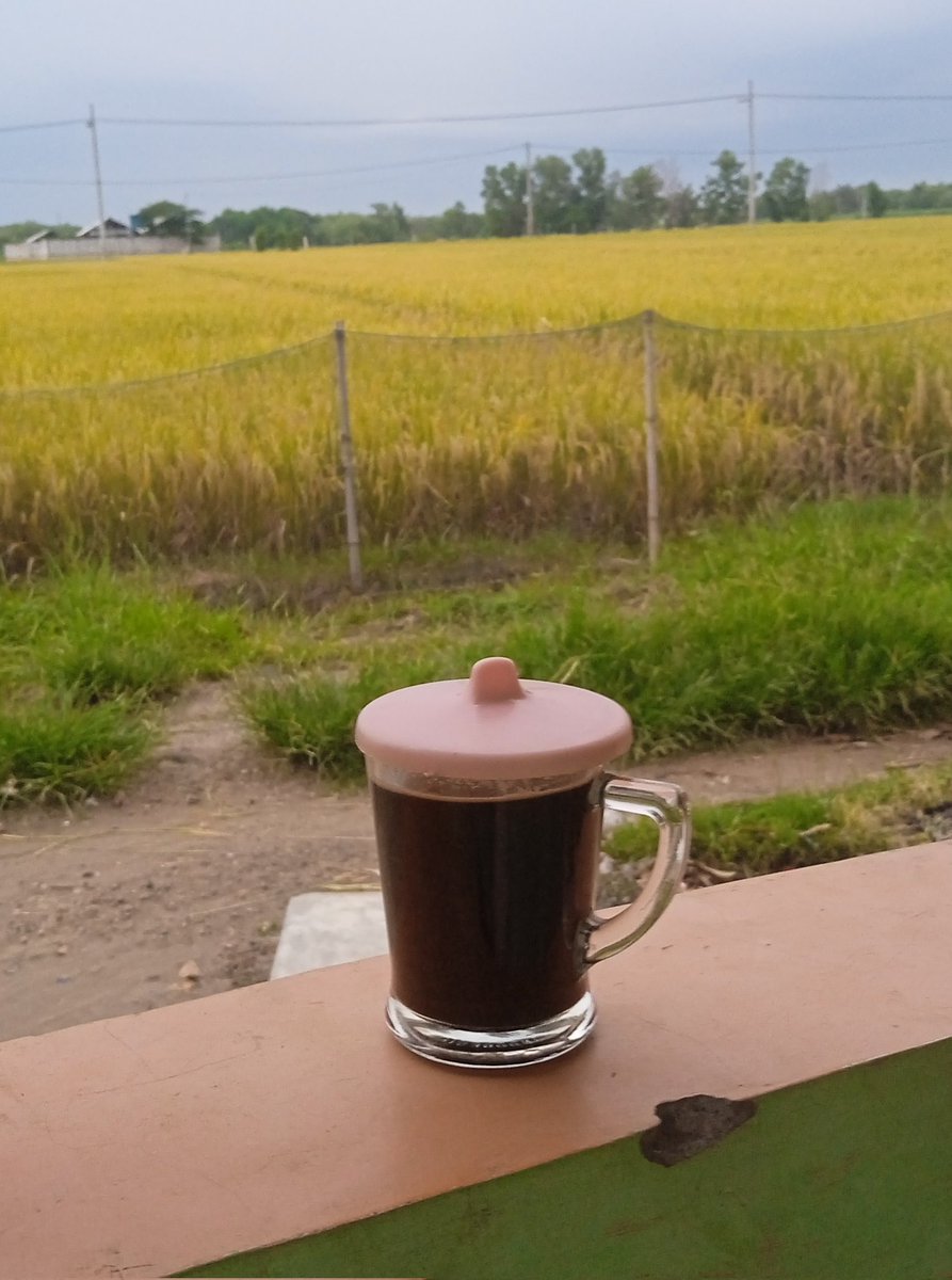 Ngopi